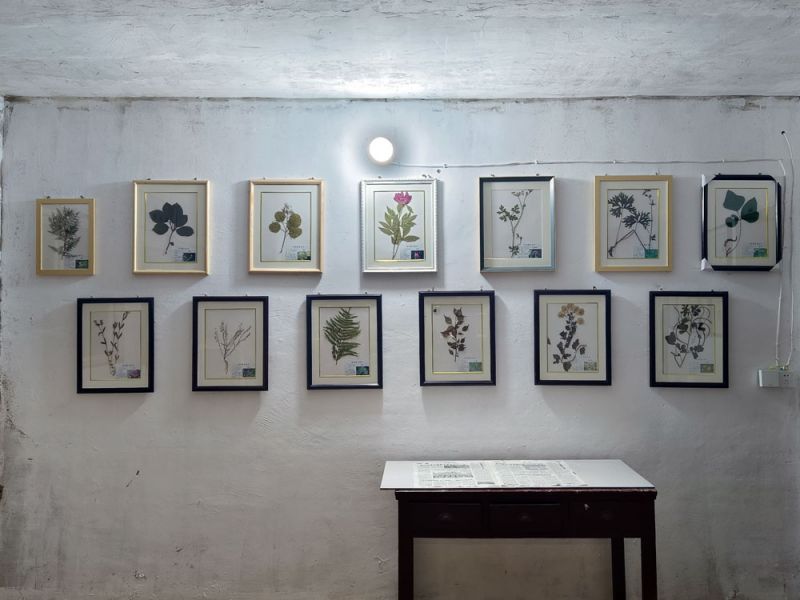 样品展示厅