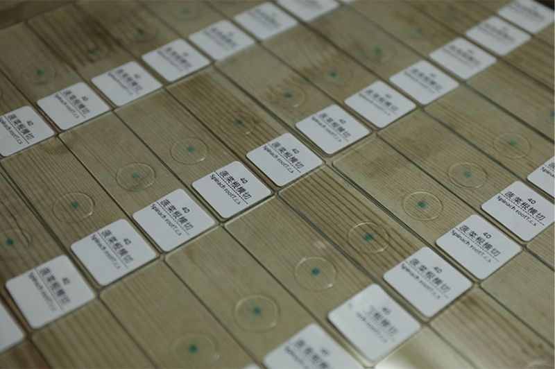 新乡市求精教学仪器有限公司